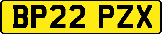 BP22PZX