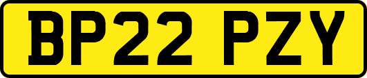 BP22PZY