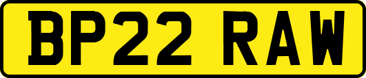 BP22RAW