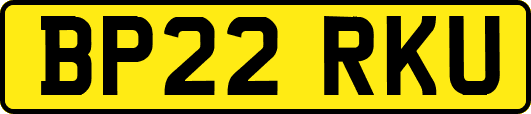 BP22RKU
