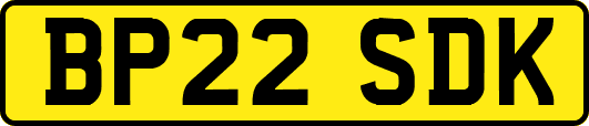 BP22SDK