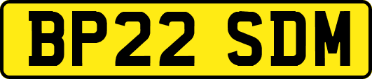 BP22SDM