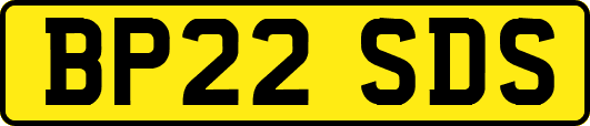 BP22SDS