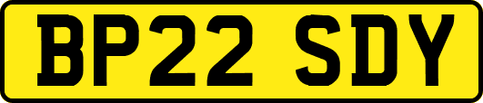 BP22SDY
