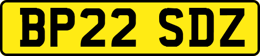 BP22SDZ