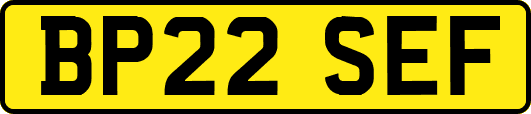 BP22SEF