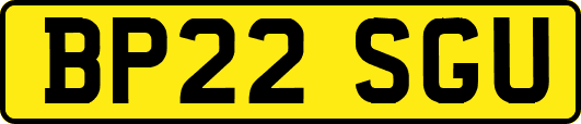 BP22SGU