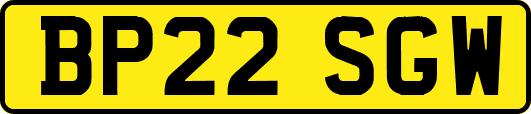 BP22SGW