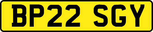 BP22SGY
