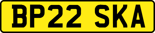 BP22SKA
