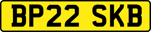 BP22SKB