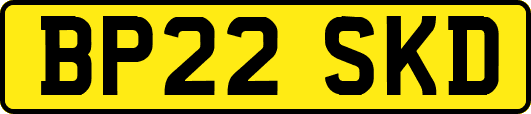 BP22SKD
