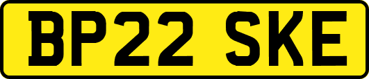 BP22SKE