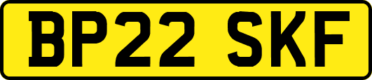 BP22SKF