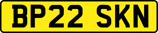 BP22SKN