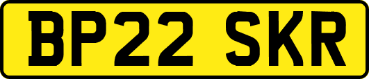 BP22SKR