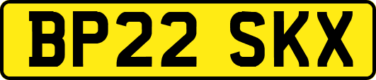BP22SKX