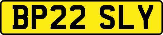 BP22SLY