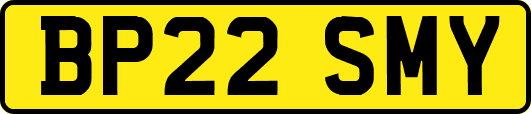 BP22SMY