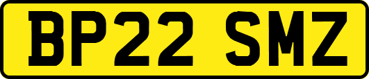 BP22SMZ