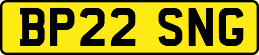 BP22SNG