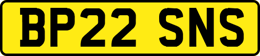BP22SNS