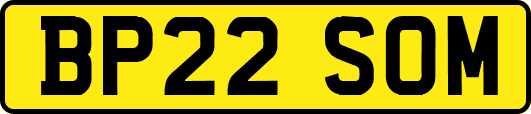 BP22SOM