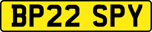 BP22SPY