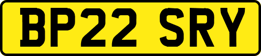 BP22SRY