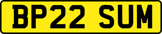 BP22SUM