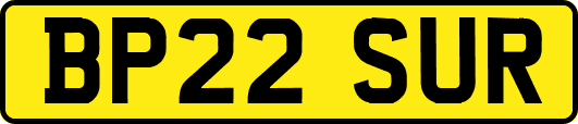 BP22SUR