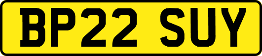 BP22SUY