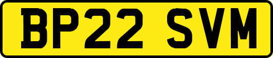 BP22SVM