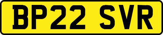 BP22SVR