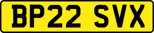 BP22SVX