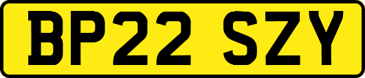 BP22SZY