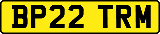 BP22TRM