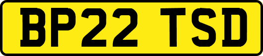 BP22TSD