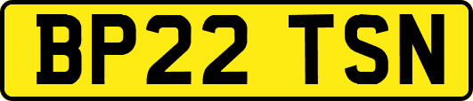 BP22TSN