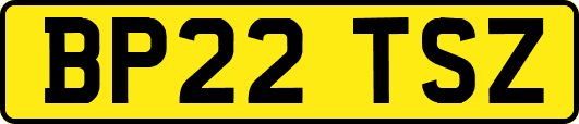 BP22TSZ