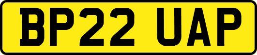 BP22UAP