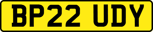 BP22UDY
