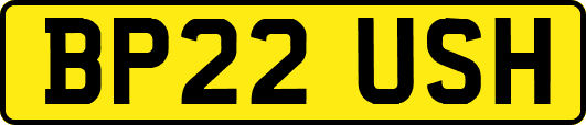 BP22USH