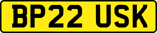 BP22USK