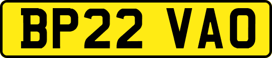 BP22VAO