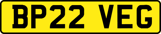 BP22VEG
