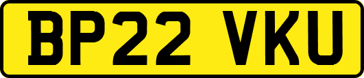 BP22VKU