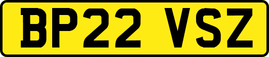 BP22VSZ