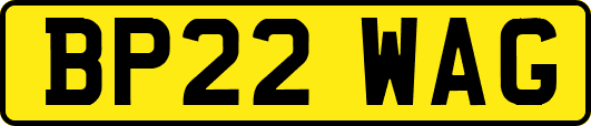 BP22WAG