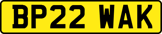BP22WAK